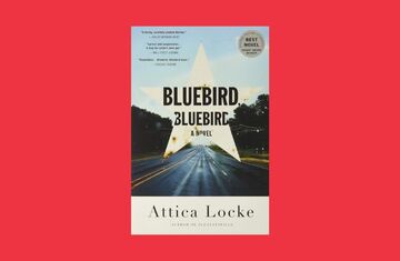 Beyond Agatha: Bluebird, Bluebird